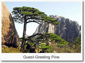Shanghai Huangshan 3 Day Tour by High Speed Train