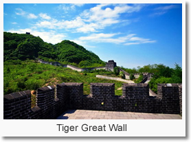  Tiger Great Wall 