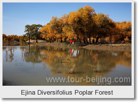 Beijing Yinchuan Alxa Highlight 7 Day Tour