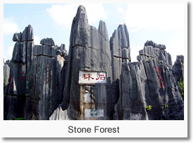 Kunming Stone Forest Half Day Tour