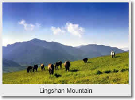 Linshan Mountain Ambling Day Tour