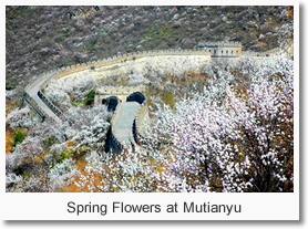 Beijing 4 Day Spring Tour Package