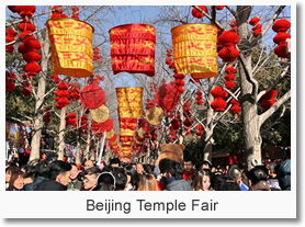 Beijing Spring Festival Day Tour