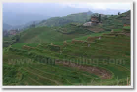 Guilin Longsheng Yangshuo 4-Day Tour Package
