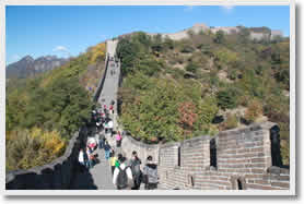 Mutianyu Great Wall Half Day Tour