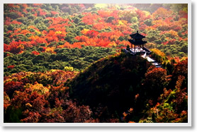 Mutianyu Great Wall + Hongluo Temple Day Tour