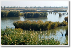 Beijing Xining Lanzhou Xiahe Zhongwei Yinchuan 6-Day Tour