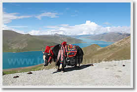 4 Days Lhasa City Tour