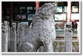Xian Private Tour