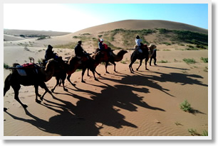 Camel Trek in Tengger Desert