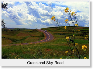 Grassland Sky Road