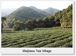 Meijiawu Tea Village
