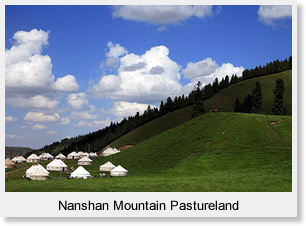 Nanshan Mountain Pastureland