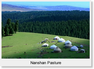 Nanshan Pasture