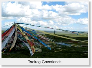 Tsekog Grasslands