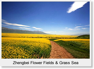 Zhengbei Flower Fields & Grass Sea