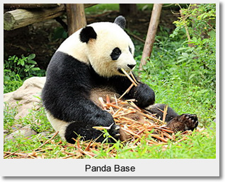 Chengdu Panda Breeding and Research Centre