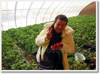 Strawberries Picking and Snow World Tour
