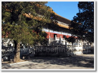 Beijing 5-day Group Tour Package Including Hotels
