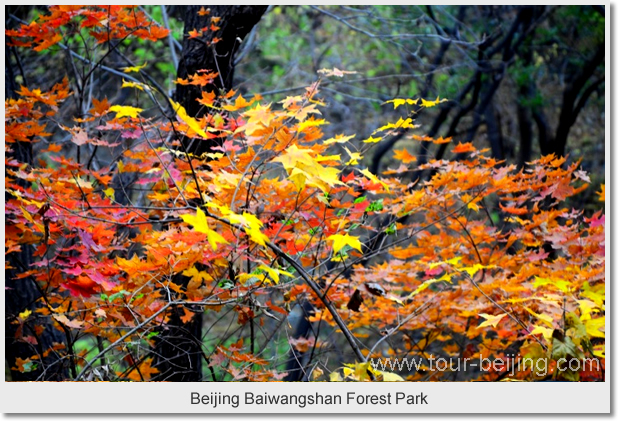 Beijing Baiwangshan Forest Park