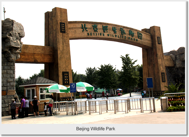 Daxing Wildlife Park Day Trip