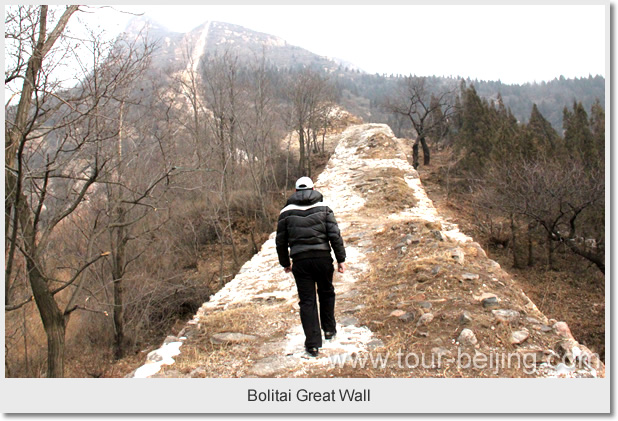 bolitai great wall