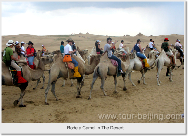 Rode a camel in the desert