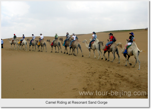 Camel Riding at Resonant Sand Gorge