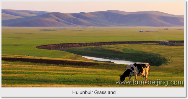 Hulunbuir Grassland