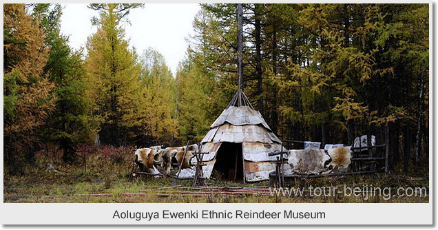Aoluguya Ewenki Ethnic Reindeer Museum