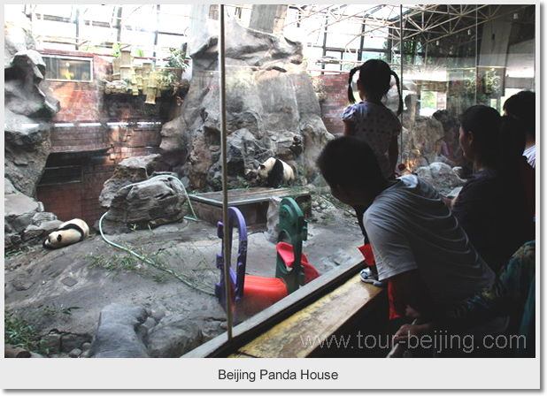Beijing Panda House