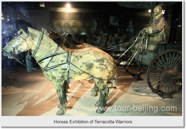 Horses Exhibition of Terracotta Warriors