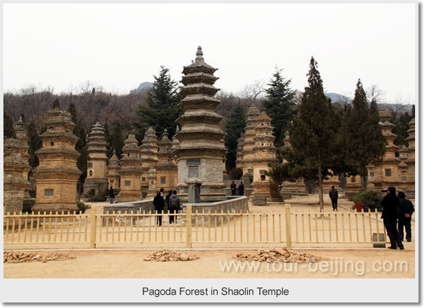 Pagoda Forest in Shaolin Temple