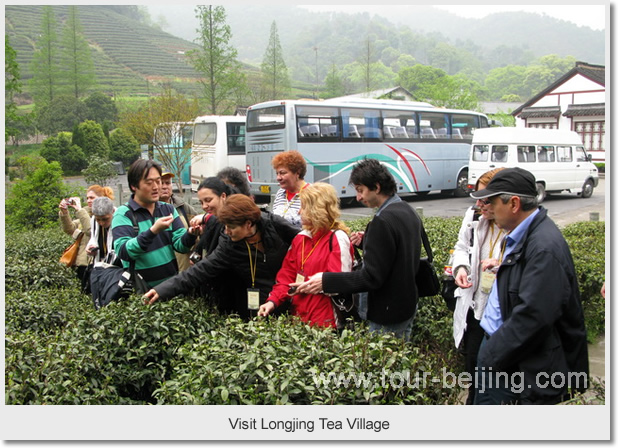 Visit Longjing Tea Village