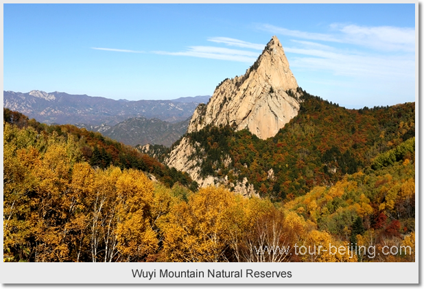 Wuyi Mountain Natural Reserves