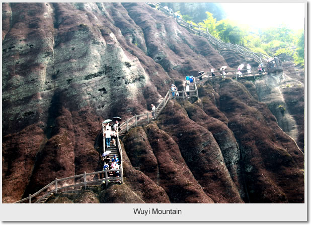 Wuyi Mountain 4 Days Tour