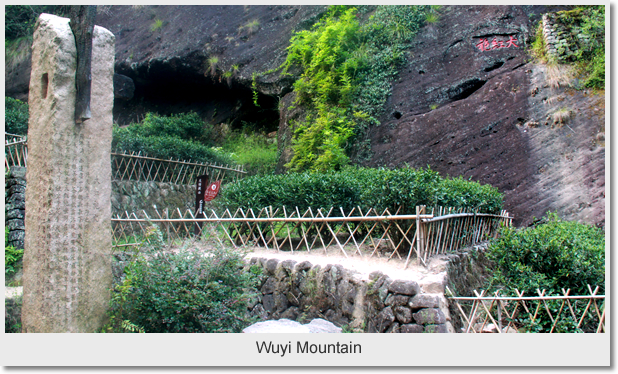 Wuyi Mountain 3 Days Tour