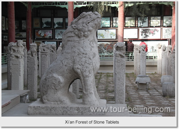 Xi'an Forest of Stone Tablets