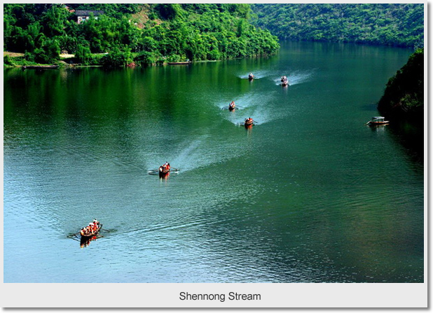  Shennong Stream