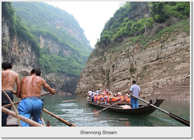  Shennong Stream