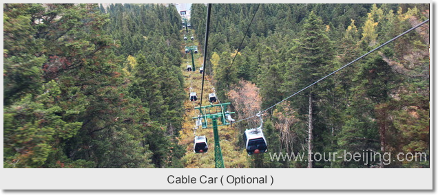 Cable Car ( Optional )