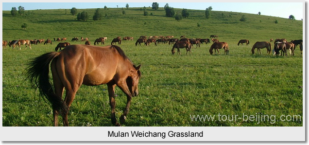 Mulan Weichang Grassland