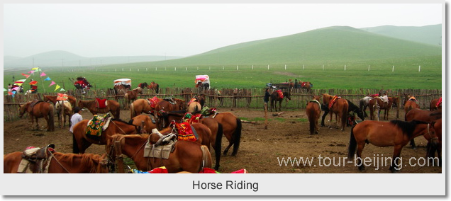  Horse Riding