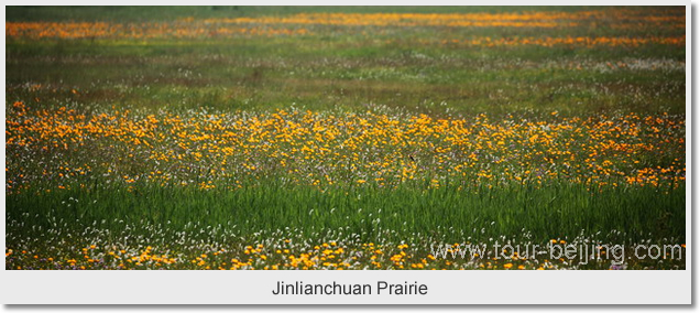 Jinlianchuan Prairie 