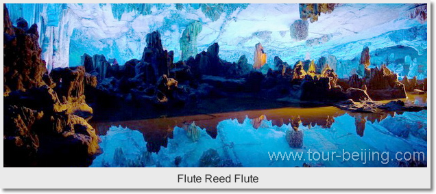Flute Reed Flute
