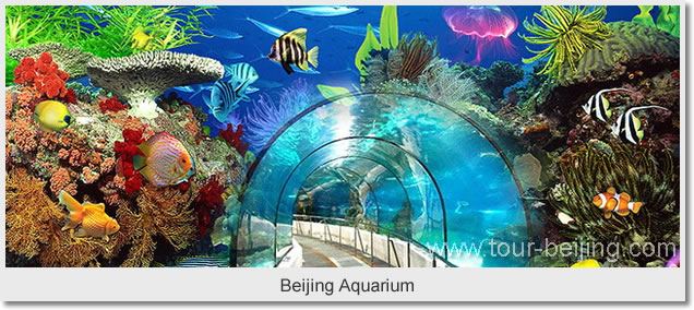 Beijing Aquarium