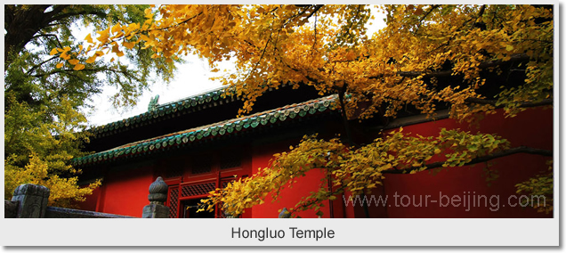 Hongluo Temple