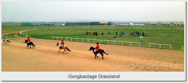 Gongbaolage Grassland