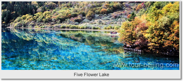 Five Flower Lake