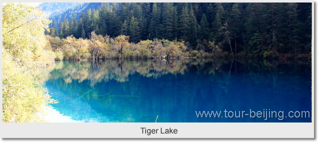 Tiger Lake